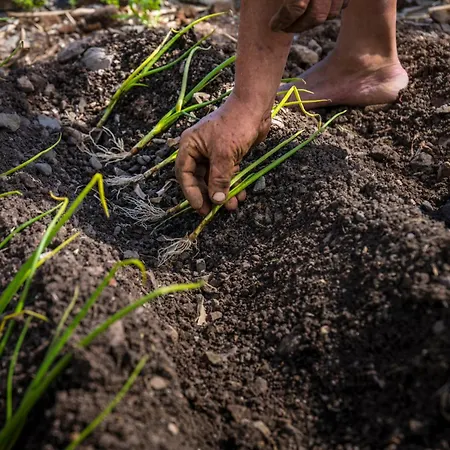 Bella Vista - Hermigua