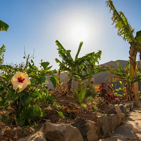 Bella Vista بيت شباب